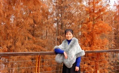 今日更新2021乱码